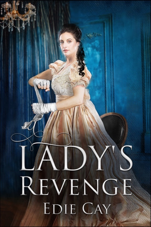 A Lady's Revenge e-book
